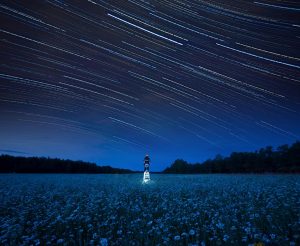 Read more about the article To reach for the stars: The Photographs of Jelieta Walinski