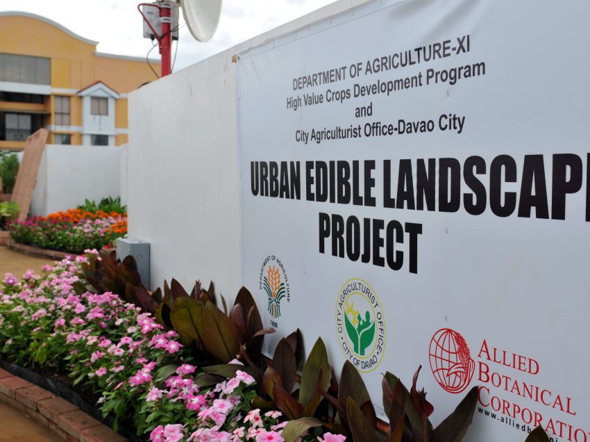 City Hall boasts of roof deck garden