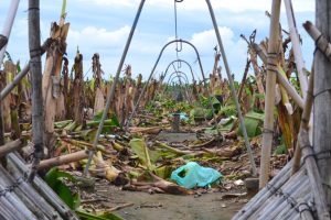 Read more about the article Lapanday, farmers to hold dialogue over land dispute today