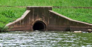 Read more about the article Cheaper way to treat septic water introduced