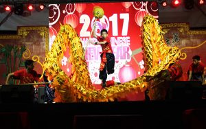Read more about the article DRAGON DANCE