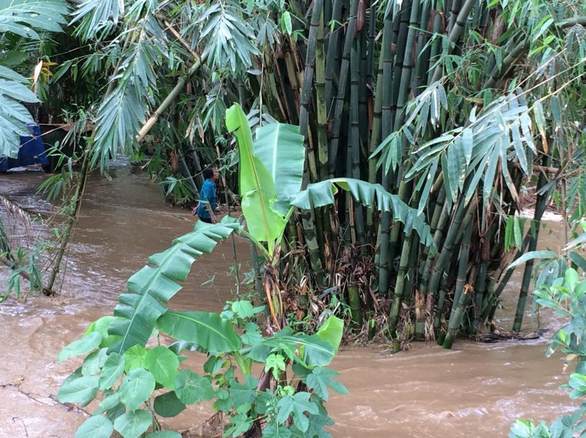 LOOK: Residents near Talomo River affected by flooding