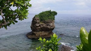 Read more about the article ROCK FORMATION