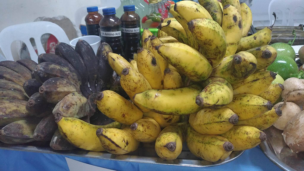 You are currently viewing Campaign for banana-eating Japs launched