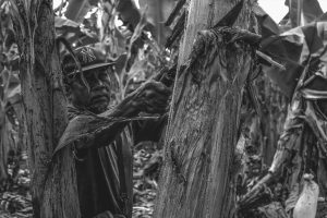 Read more about the article ‘Pagbungkal’: Photo exhibit in UP Mindanao tackles farmers struggles