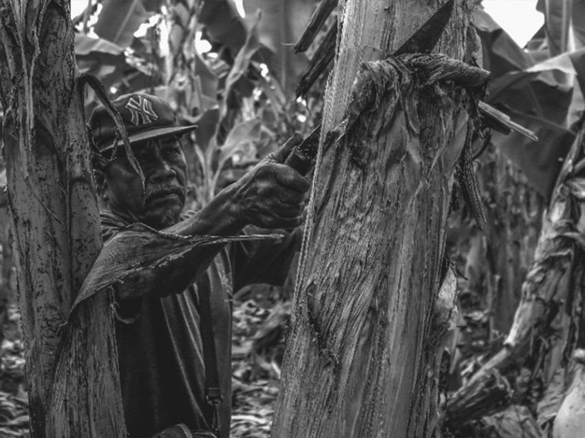 ‘Pagbungkal’: Photo exhibit in UP Mindanao tackles farmers struggles