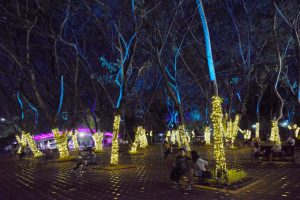 Read more about the article CHRISTMAS IN PEOPLE’S PARK