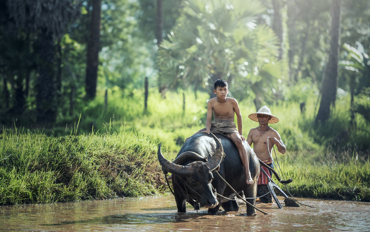 Read more about the article More young farmers needed in Davao’s agri sector, says group