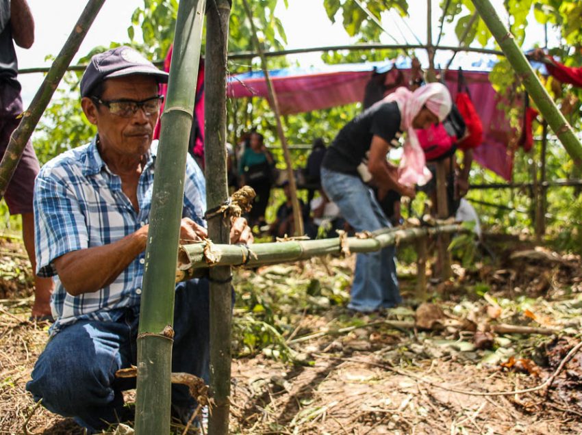 Farmers reclaim land from Lapanday after decades