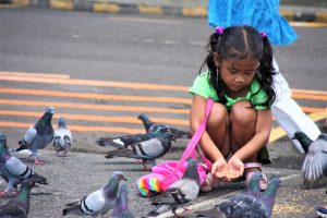 Read more about the article BIRD FEEDING