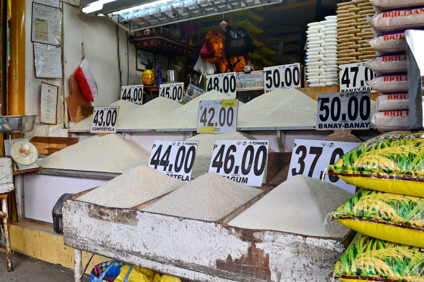 Farmers Fed says reduced tariffs on rice imports detrimental to Filipinos