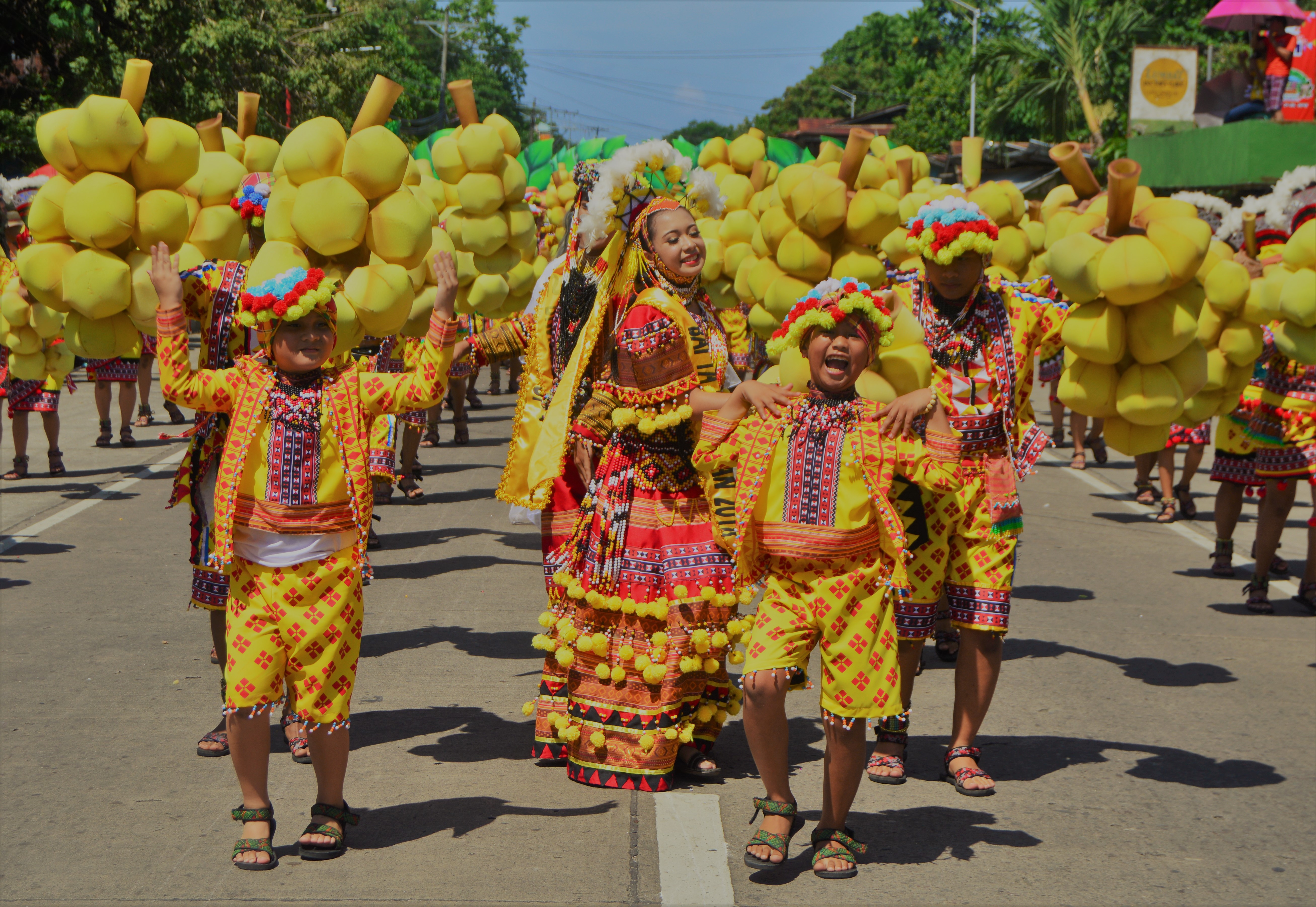 You are currently viewing Camiguin begins branding its own lanzones