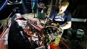 Read more about the article Advocates want resilient measures to protect marine lives in Davao Gulf