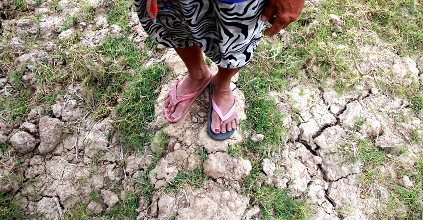 Months of dry spell ruin farmlands in North Cotabato town
