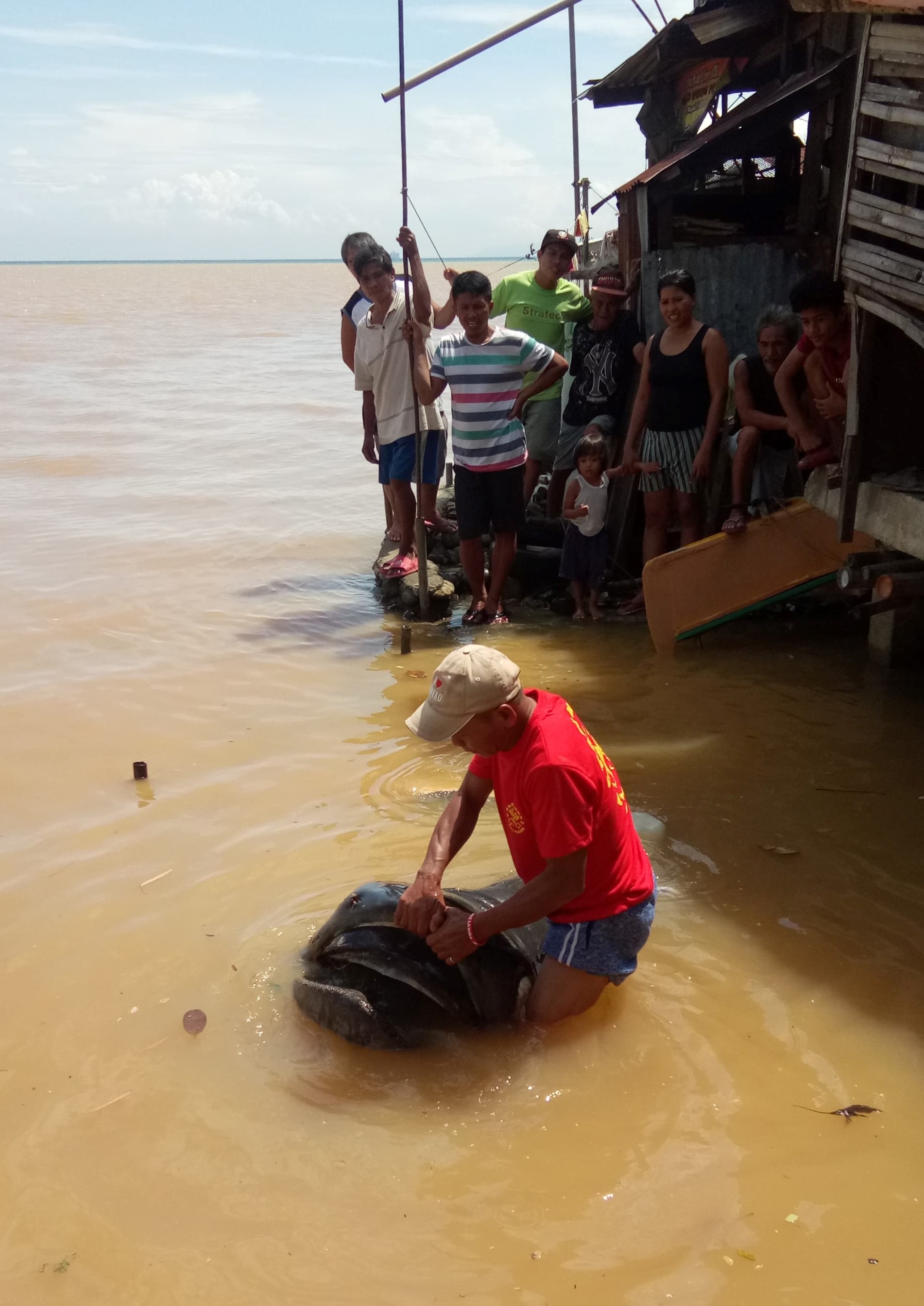 You are currently viewing Endangered Megamouth shark caught, slaughtered in CDO
