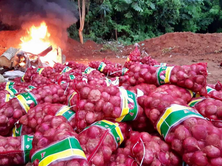 Customs NorMin destroys onions declared as food items