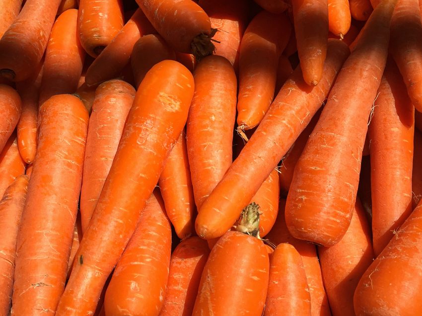 MinDa says carrots from China flooding local markets not true