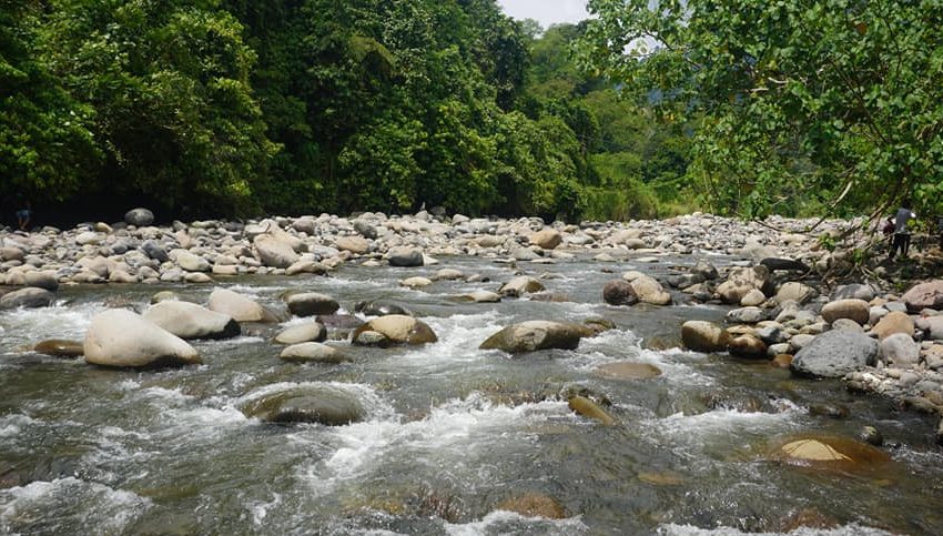 Council, envi group act on barangay proposal on Davao watershed
