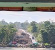 200 trees cut down for Samal bridge project questioned