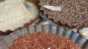 Read more about the article MASIPAG flags biosafety concerns over approval of iron-zinc enriched rice